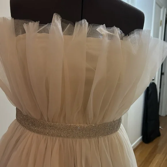 Betsey Johnson tulle dress, rhinestone waist. Flawless zipper, never worn, NWT - Picture 5 of 5